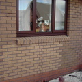 Polbeth During2_001.JPG